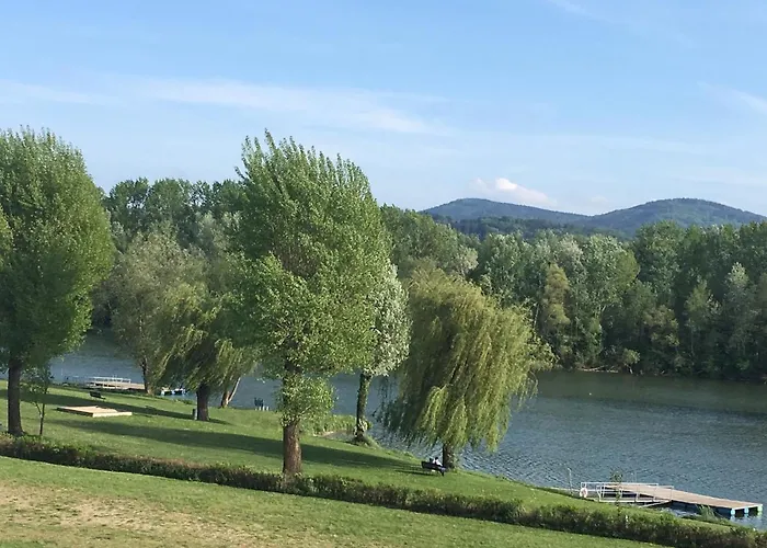 公寓 Haus Am Donausee Weitenegg